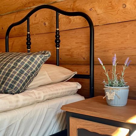 Kasepuu Holiday House Uulu Екстериор снимка